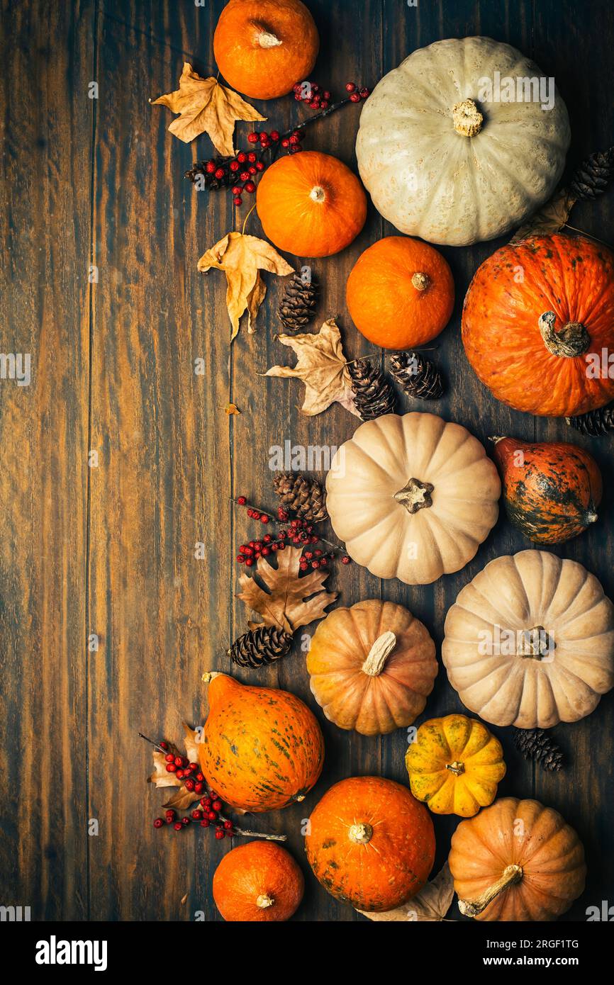 Thanksgiving und Herbstdekoration mit verschiedenen Kürbissen und getrockneten Blättern auf Holzhintergrund Stockfoto
