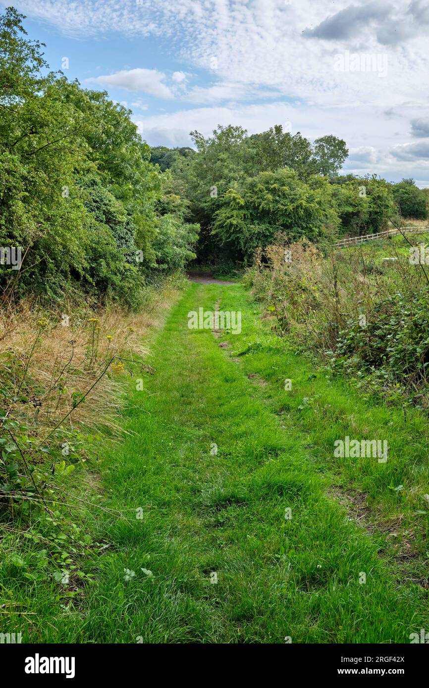 Entlang eines öffentlichen Fußwegs, Womersley, North Yorkshire, Nordengland, Großbritannien Stockfoto