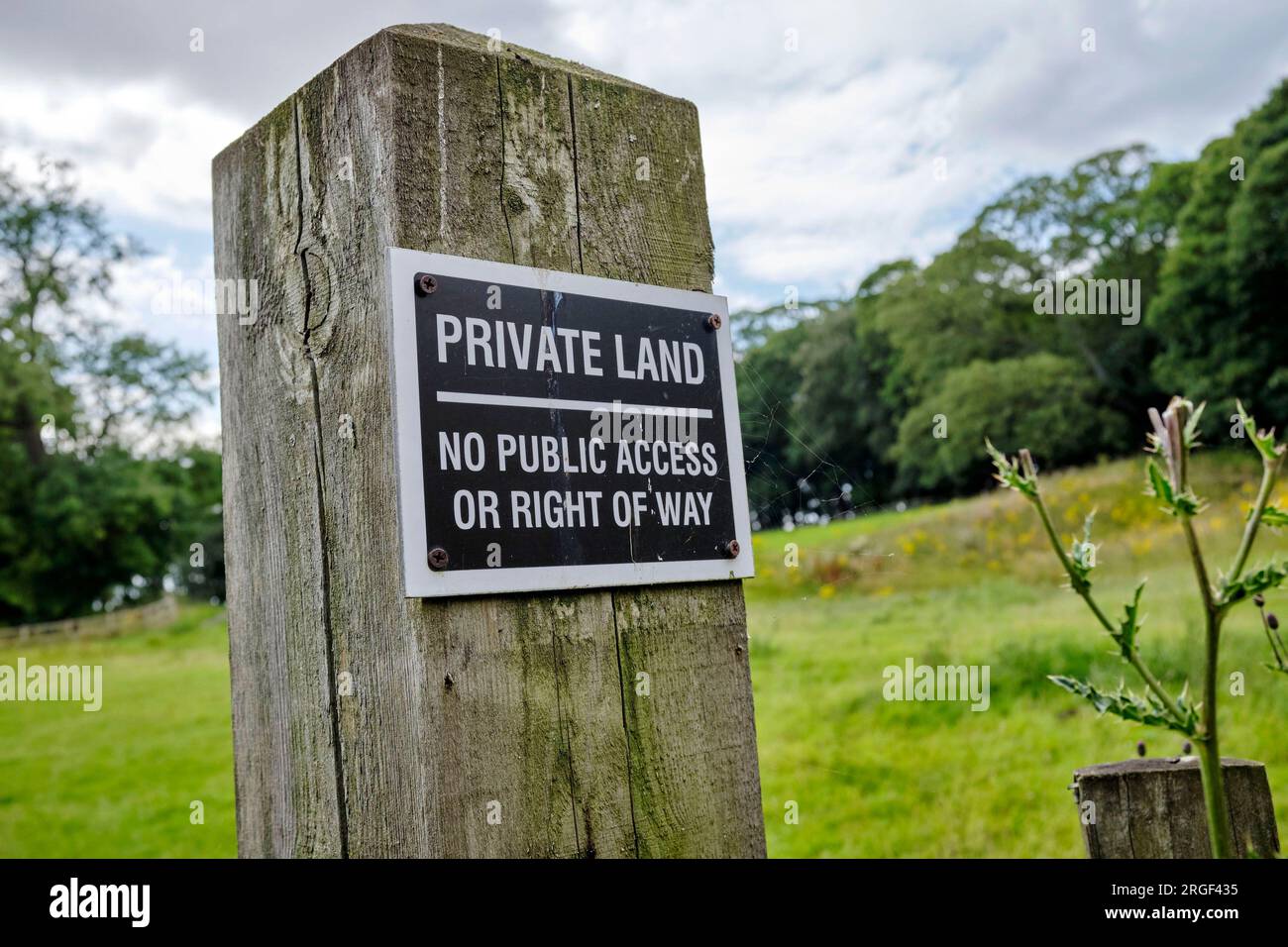 Private Landbeschilderung, Womersley, North Yorkshire, Nordengland, Großbritannien Stockfoto