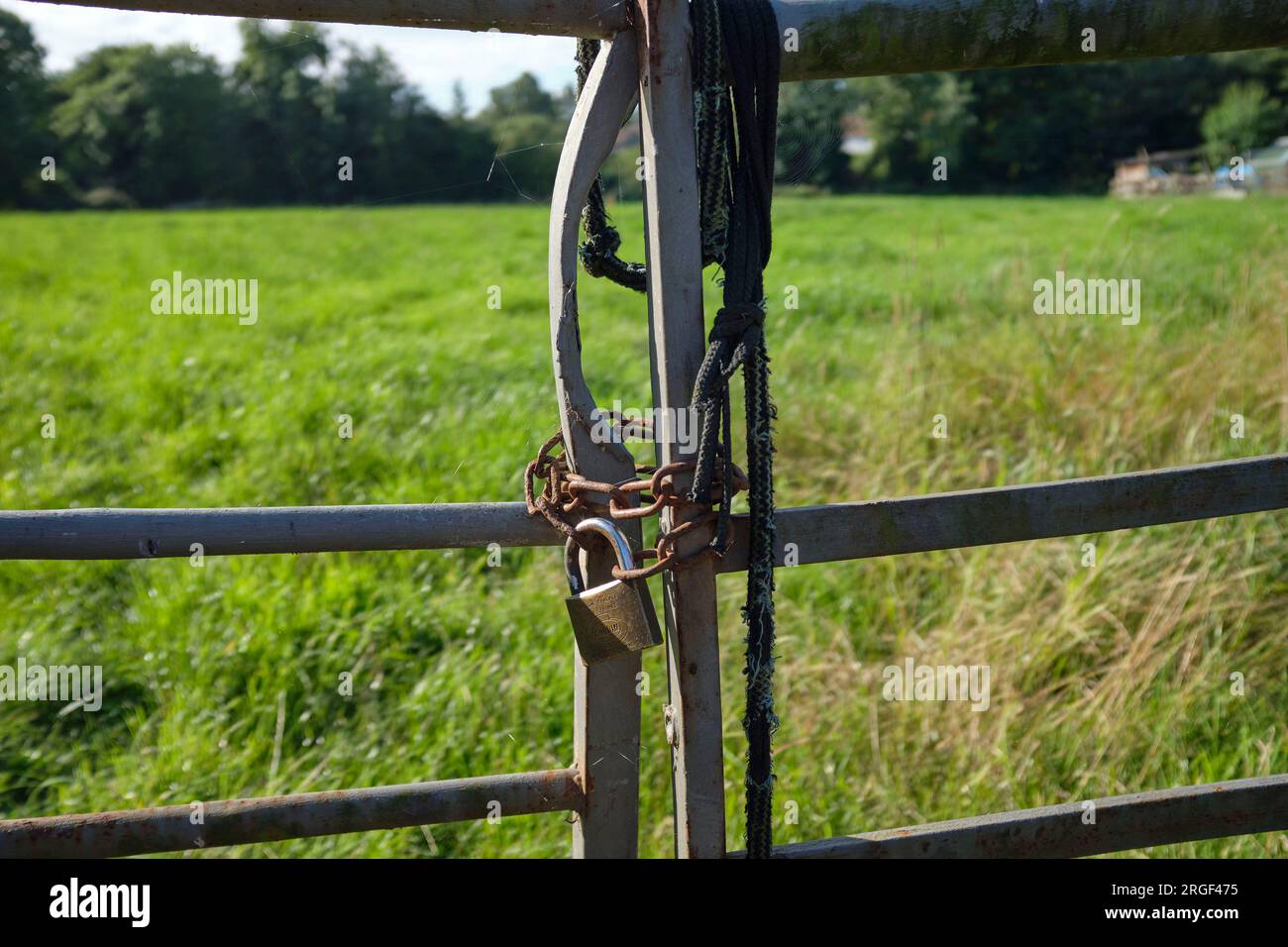 Vorhängeschloss und Kette auf einem Bauernhof, ländliche Gemeinde in Womersley, North Yorkshire, Nordengland, Großbritannien Stockfoto