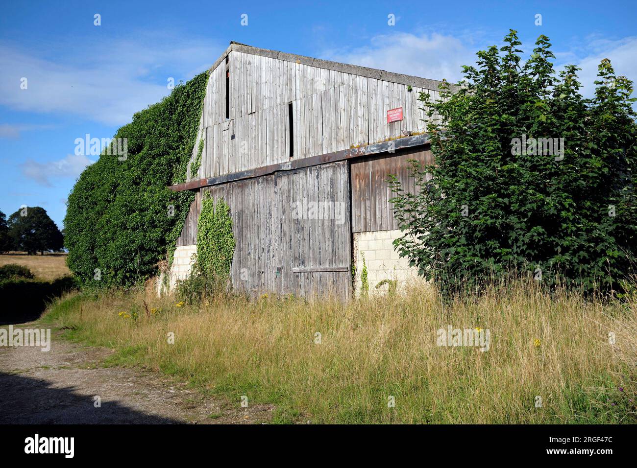 Eine alte hölzerne landwirtschaftliche Scheune, ländliche Gemeinde in Womersley, North Yorkshire, Nordengland, Großbritannien Stockfoto