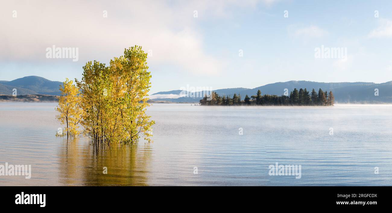 Im Snowy Mountains-Nationalpark befindet sich ein Gebirgsstand von Autumbäumen am Ufer des Lake Jindabyne, auf dem sich die Insel Jindabyne in der Mitte des Sees befindet. Stockfoto