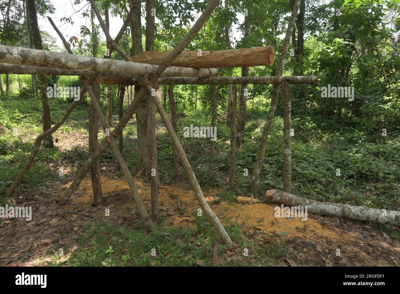 Seitenansicht eines Gerüsts, das durch die Verbindung der Holzstämme und der Baumstämme zum Holzschnitt nach der traditionellen Methode in Sri Lanka hergestellt wird Stockfoto