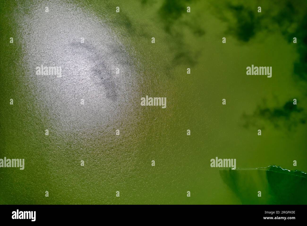 Luftaufnahme, Dröhnensicht auf das grüne Wasser des malerischen Furnas-Sees auf der Azoreninsel Sao Miguel, Azoren, Portugal. Reisebeschreibung Stockfoto