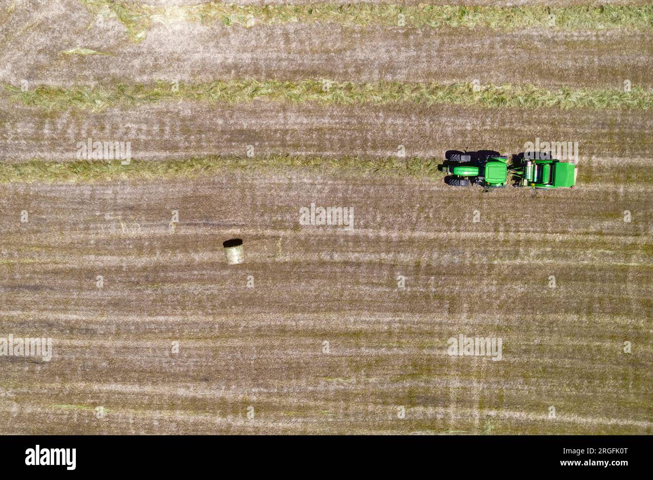 Draufsicht des Traktors mit Heuballen. Landmaschinen. Abgeschrägtes Feld und Heuhaufen nach der Ernte von Getreide. Draufsicht. Erntekonzept. Stockfoto