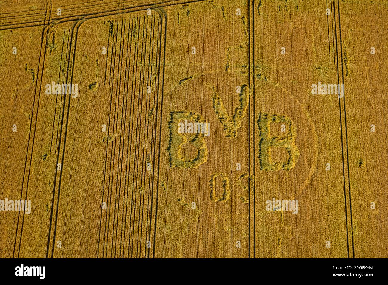 Luftaufnahme, Symbole und Schilder in einem Feld, BVB-Logo, Bönninghauser Straße, Hostedde, Dortmund, Ruhrgebiet, Nordrhein-Westfalen, Deutschland Stockfoto