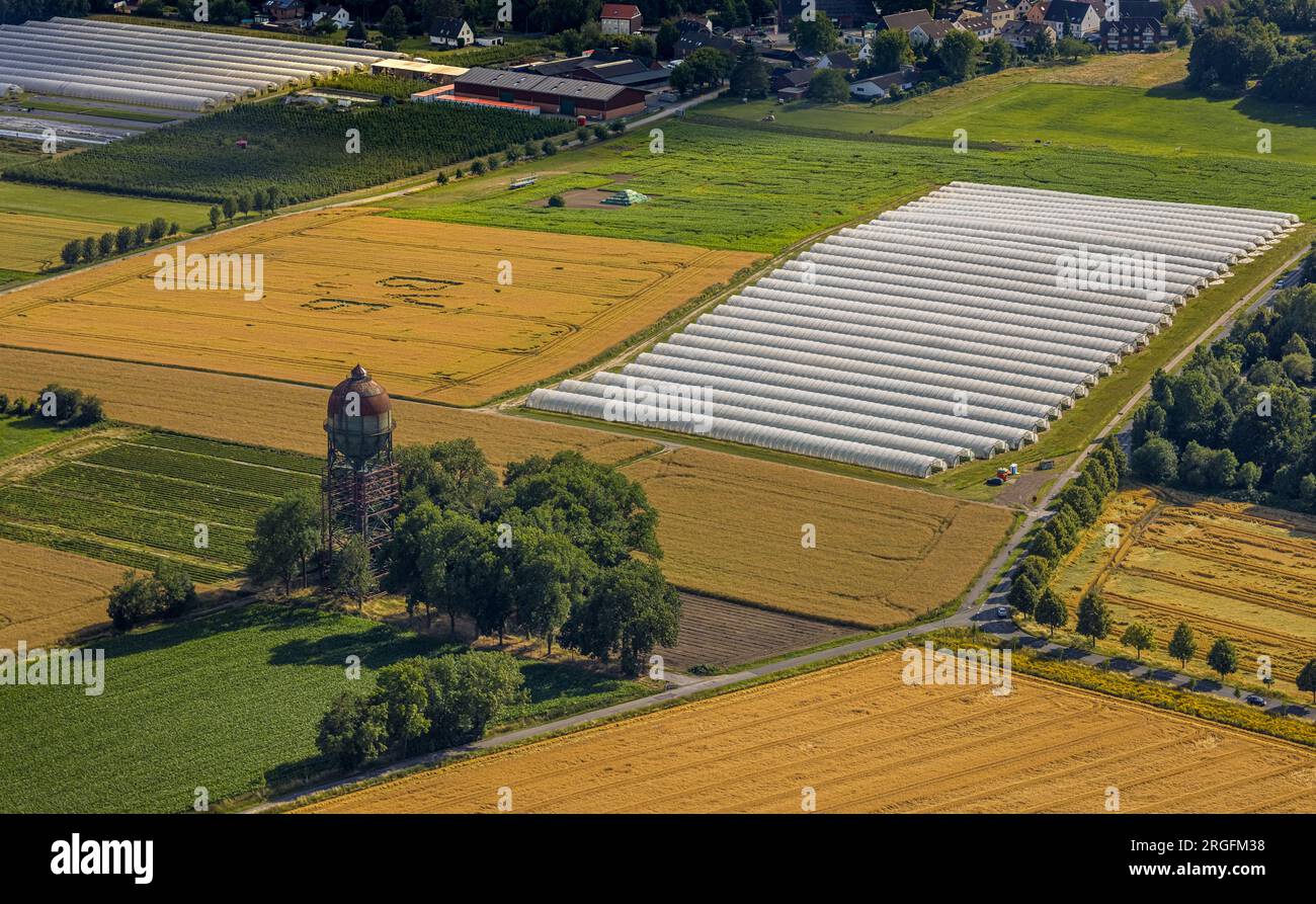 Luftaufnahme, Wasserturm Lanstroper Ei, Symbole und Schilder auf einem Feld, BVB-Logo, landwirtschaftliches Gebiet mit Erdbeeranbau unter Folie, Bönninghause Stockfoto