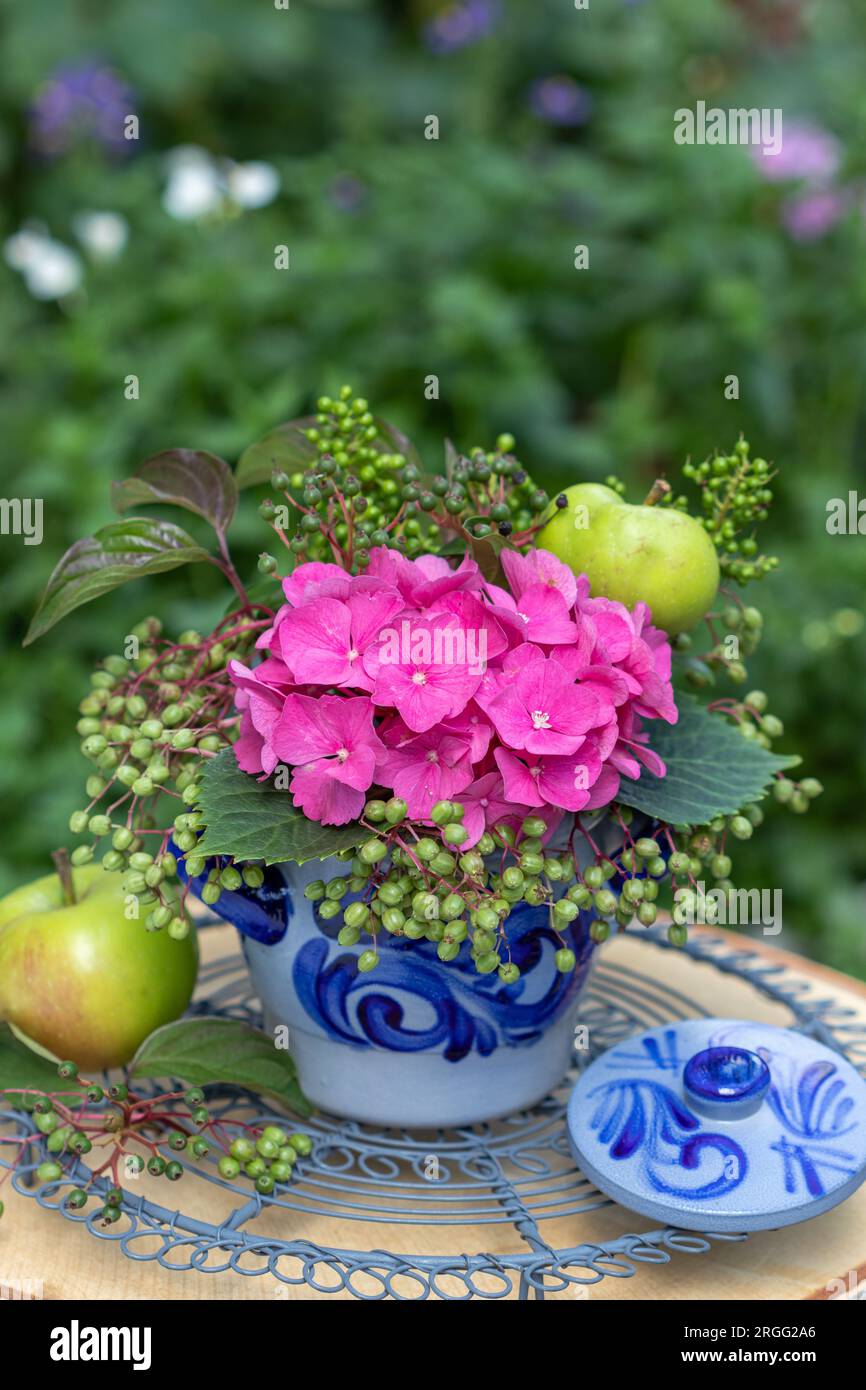 Blumenarrangements mit rosafarbenen Hortensien, älteren Beeren und Äpfeln Stockfoto