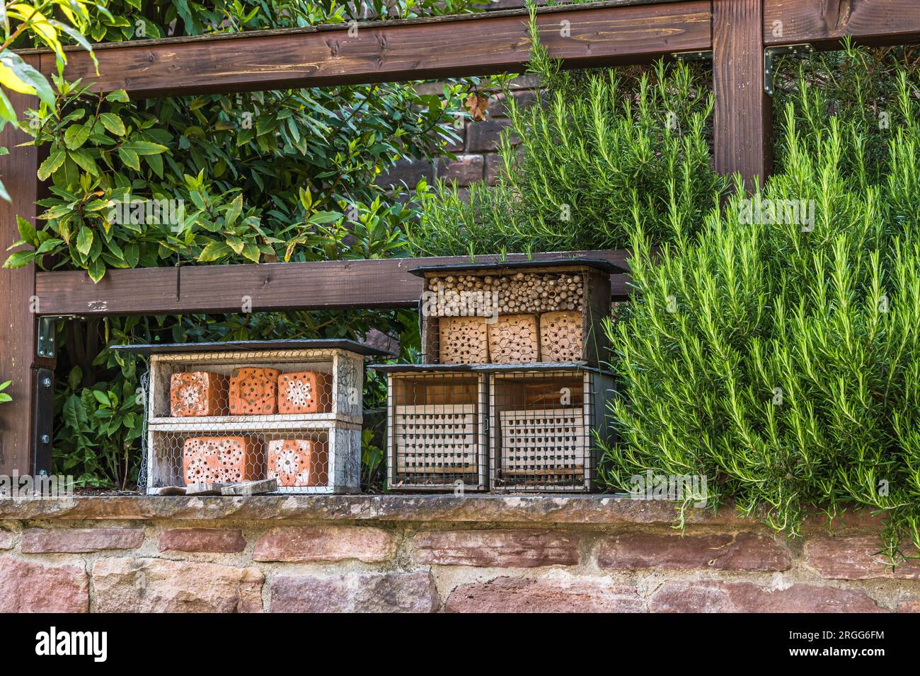 Verschiedene Insektenhotels, Insektenhotels, Insektenhäuser in einem Garten. Natürliches Gartenkonzept. Stockfoto