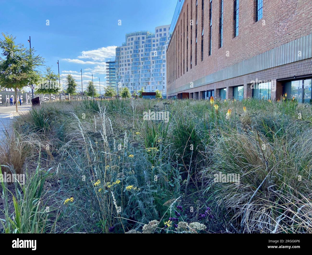 Außenansicht des Kraftwerks battersea mit neu gebauten, teuren Wohnungen und Pflanzbeeten südlich von london, england, großbritannien Stockfoto