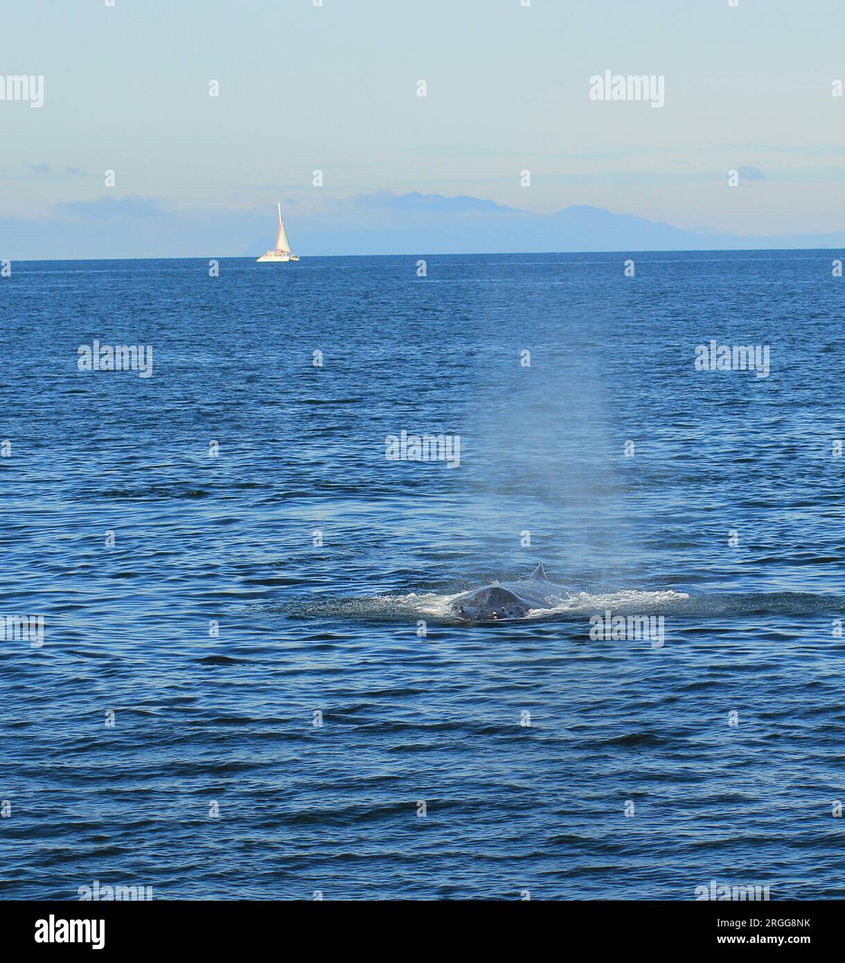 Gefällt es dir nicht, wenn sich die Dinge anordnen? Stockfoto