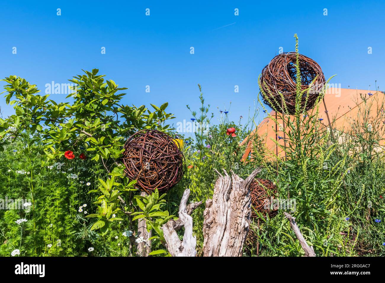 Grosse Weidenzweigkugeln als dekorative Objekte in einem Naturgarten Stockfoto