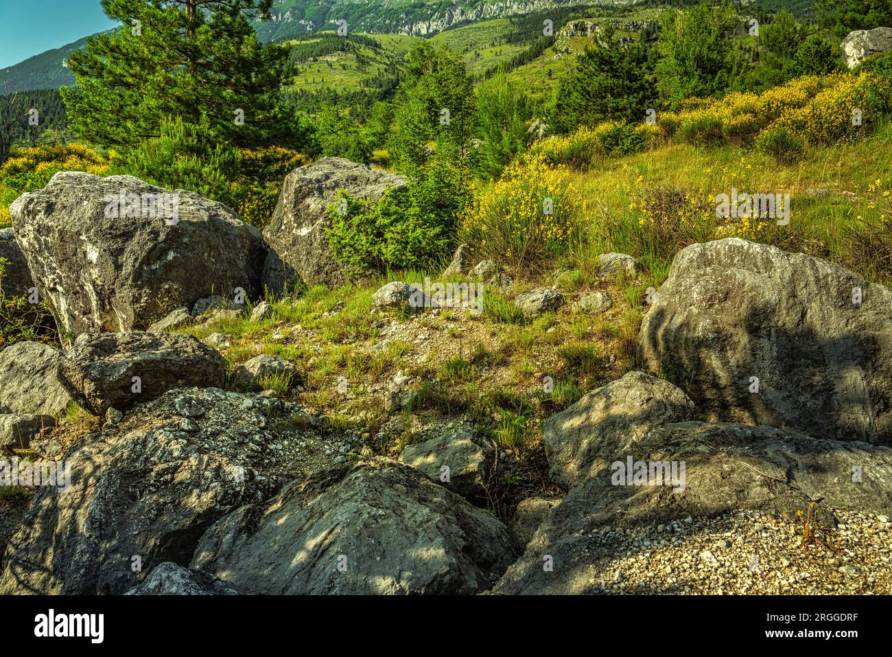 Felsen, Felsen und Steine inmitten der Blumenwiesen an den Hängen von Monte Morrone. Maiella-Nationalpark, Abruzzen, Italien, Europa Stockfoto