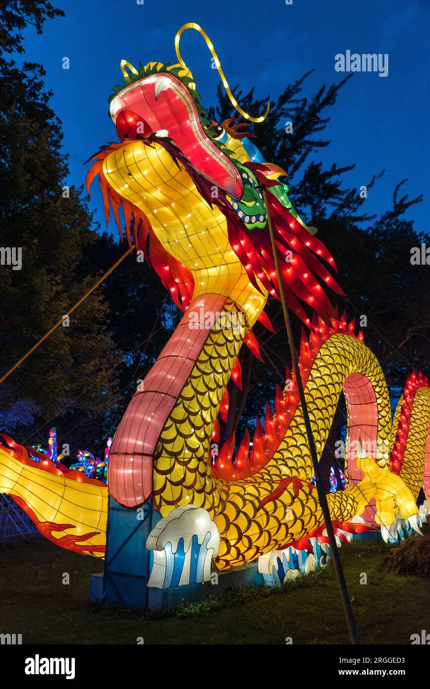 Dragon in Chinese Lantern Festival. Stockfoto