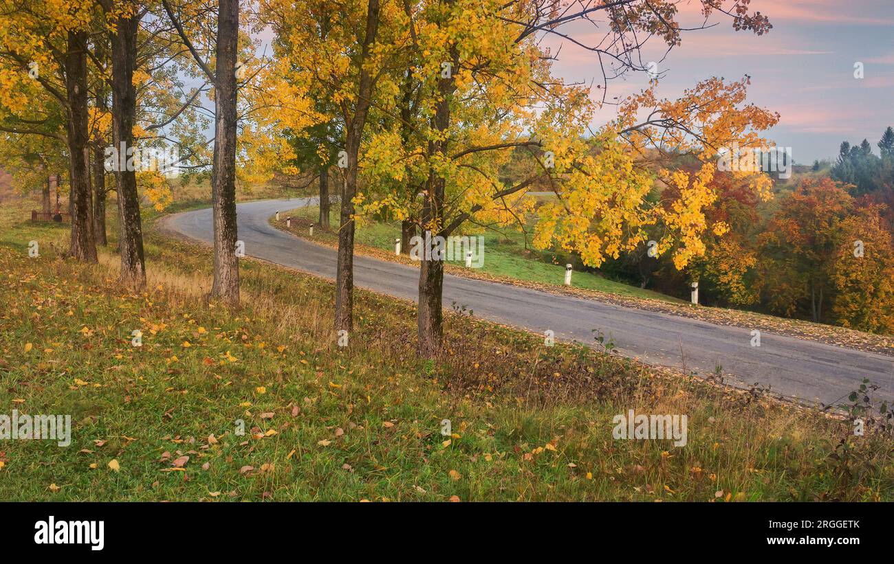 Asphaltstraße in Bergen. Reise durch die Landschaft im Herbst. Bäume in Herbstlaub entlang des Passes Stockfoto