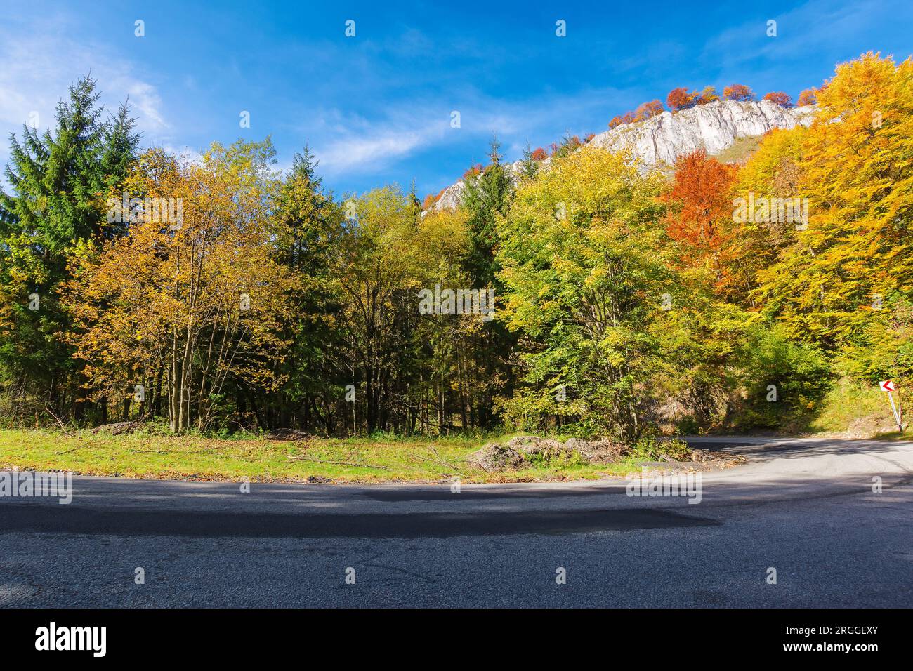 Asphaltstraße im rumänischen Gebirge. Ausflug durch den Apueni-Nationalpark im Herbst. Bäume im Herbstlaub in der Nähe der Felsen Stockfoto