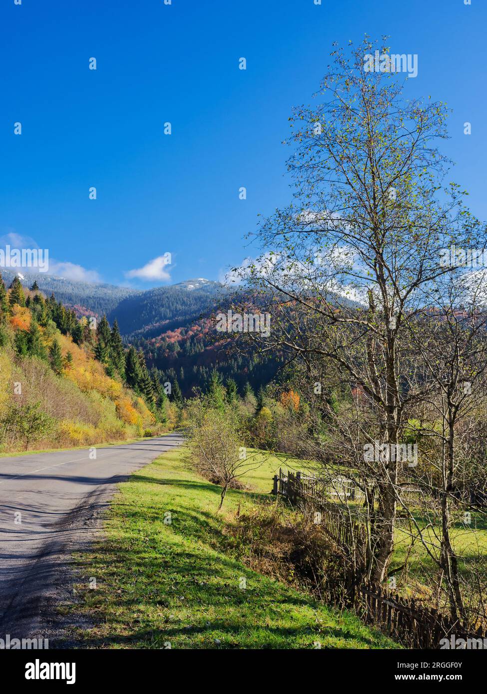 Asphaltstraße in karpaten. Reise durch die ukrainische Landschaft im Herbst. Bäume im Herbstlaub. Landschaften ländlicher Gebiete im Synevyr Park Stockfoto