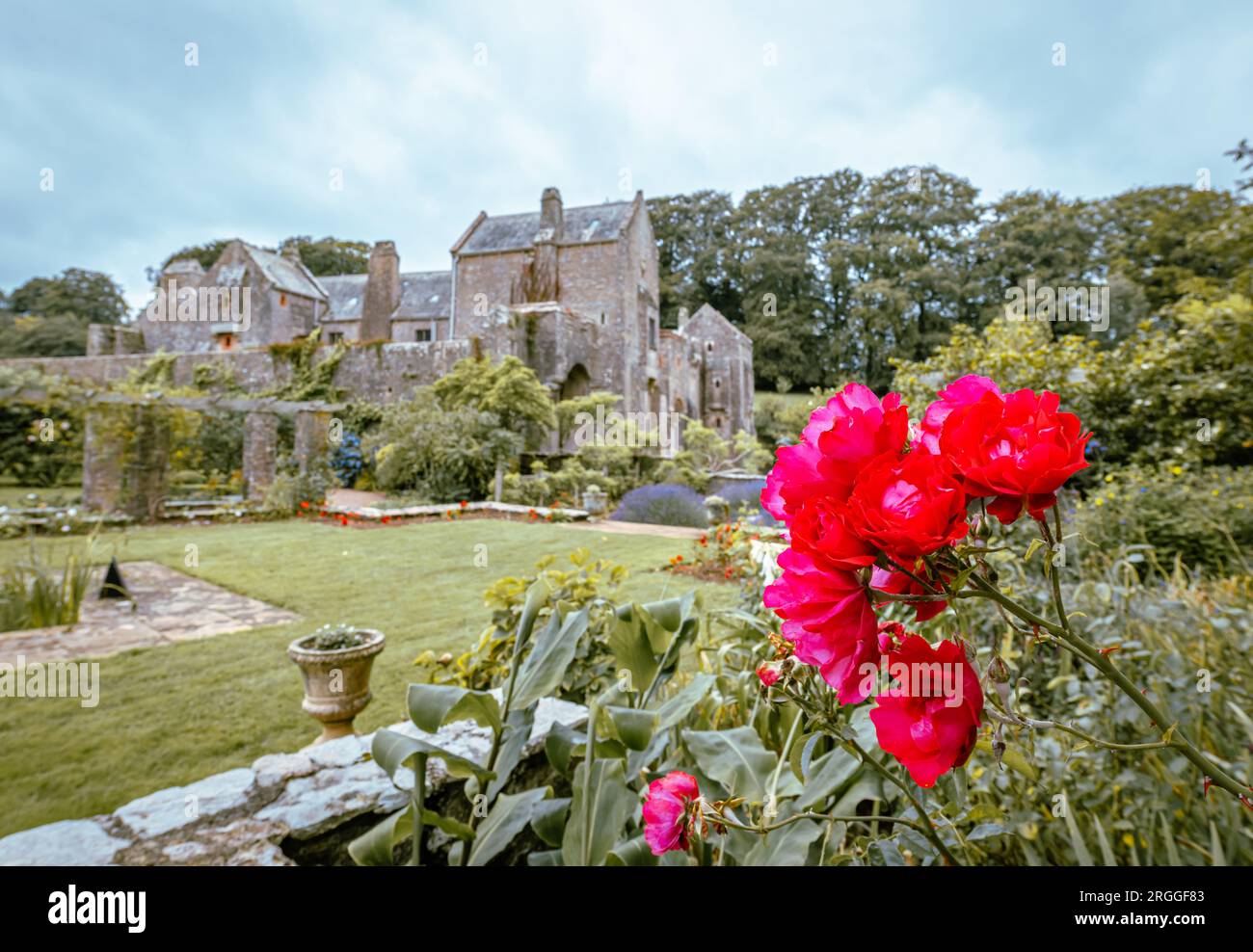 August 2023. Attraktiver Garten im Compton Castle in Devon. Stockfoto
