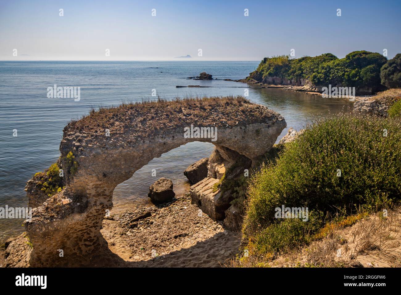 Das Naturschutzgebiet Torre Astura in Nettuno. Der große Kiefernwald, der zum Strand führt, mit den Überresten alter römischer Gebäude. Die Latium coas Stockfoto