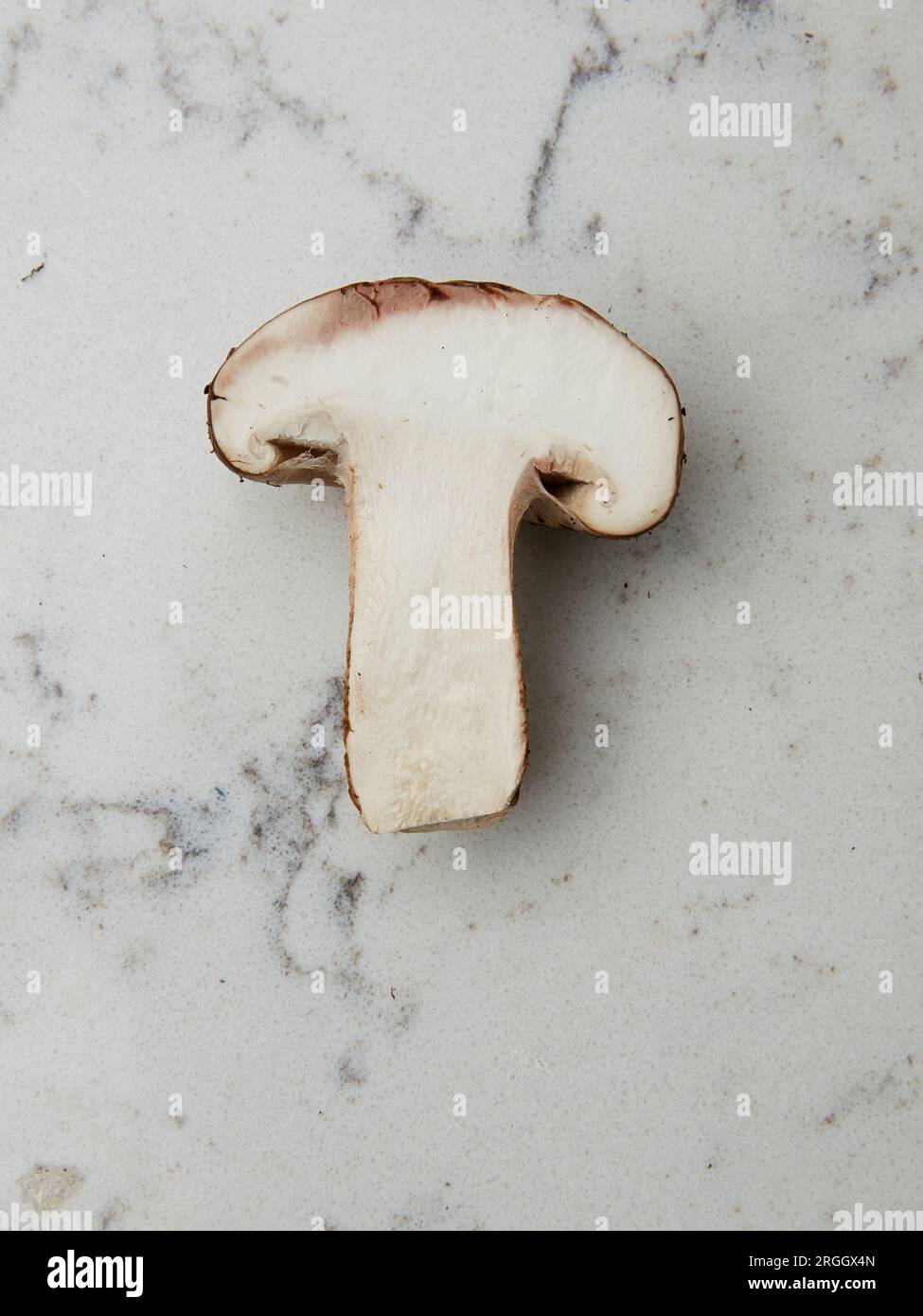 In Scheiben geschnittene Pilze auf Marmor Stockfoto