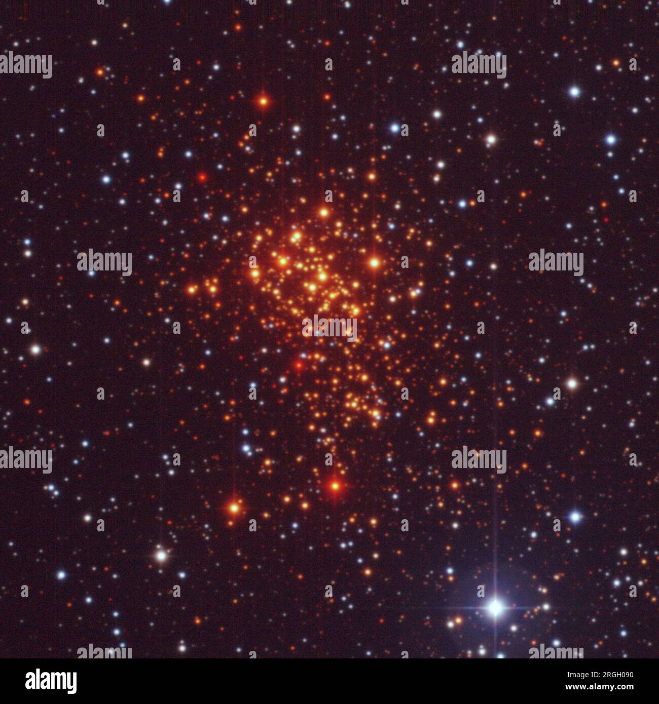 Die sper Sternhaufen Westerlund 1. Stockfoto