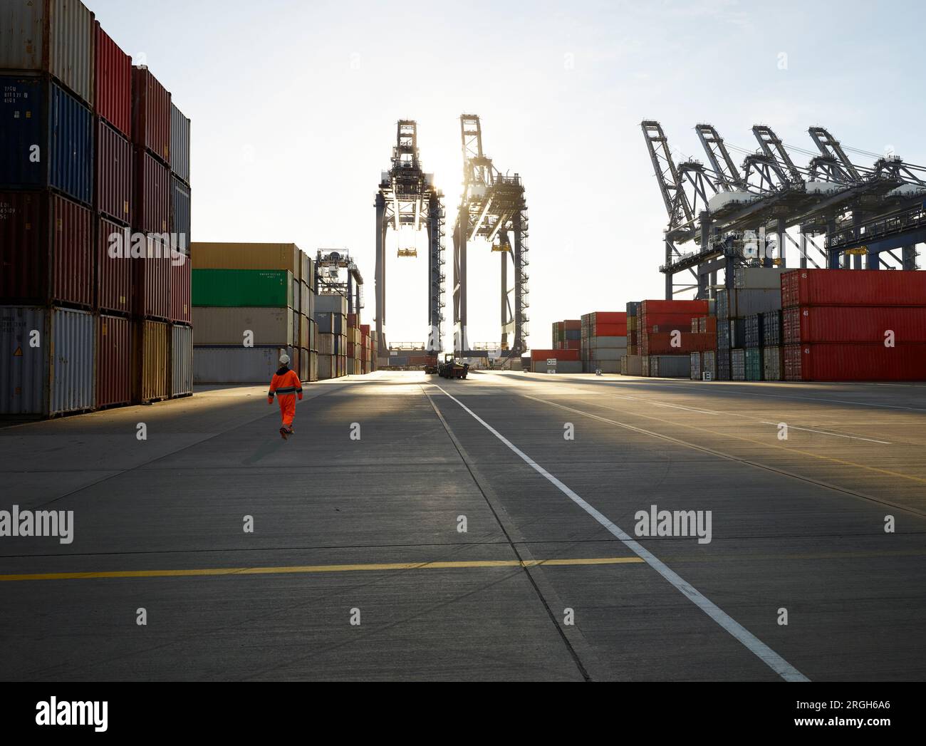 Cargo Container und Kräne im Hafen von Felixstowe, England Stockfoto