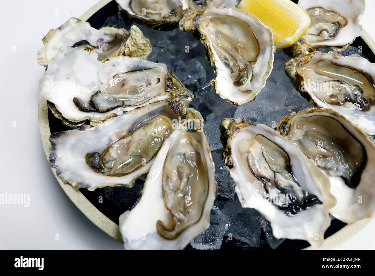 Frische feine de claire Austern, geschüttelt und auf Eis mit weißem Hintergrund gelegt Stockfoto