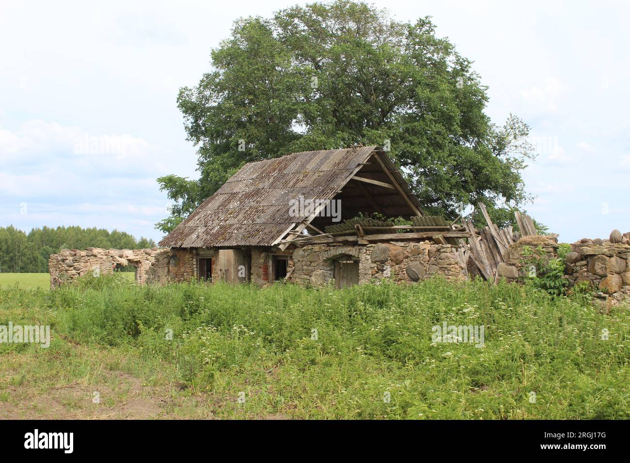 Verlassenes Bauernhaus aus Stein mit intaktem Dach in SECE, Lettland Stockfoto