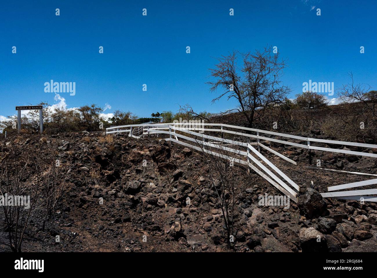 Hawi, HI, USA. 9. Aug. 2023. Der Brand in Akoni Pule im North Kohala District auf Hawai'i Island wurde am 9. August 2023 zu 60 Prozent eingedämmt. Die Wohngemeinde Kohala Ranch war gezwungen, die Gegend für etwa 24 Stunden zu evakuieren. Kredit: ZUMA Press, Inc./Alamy Live News Stockfoto