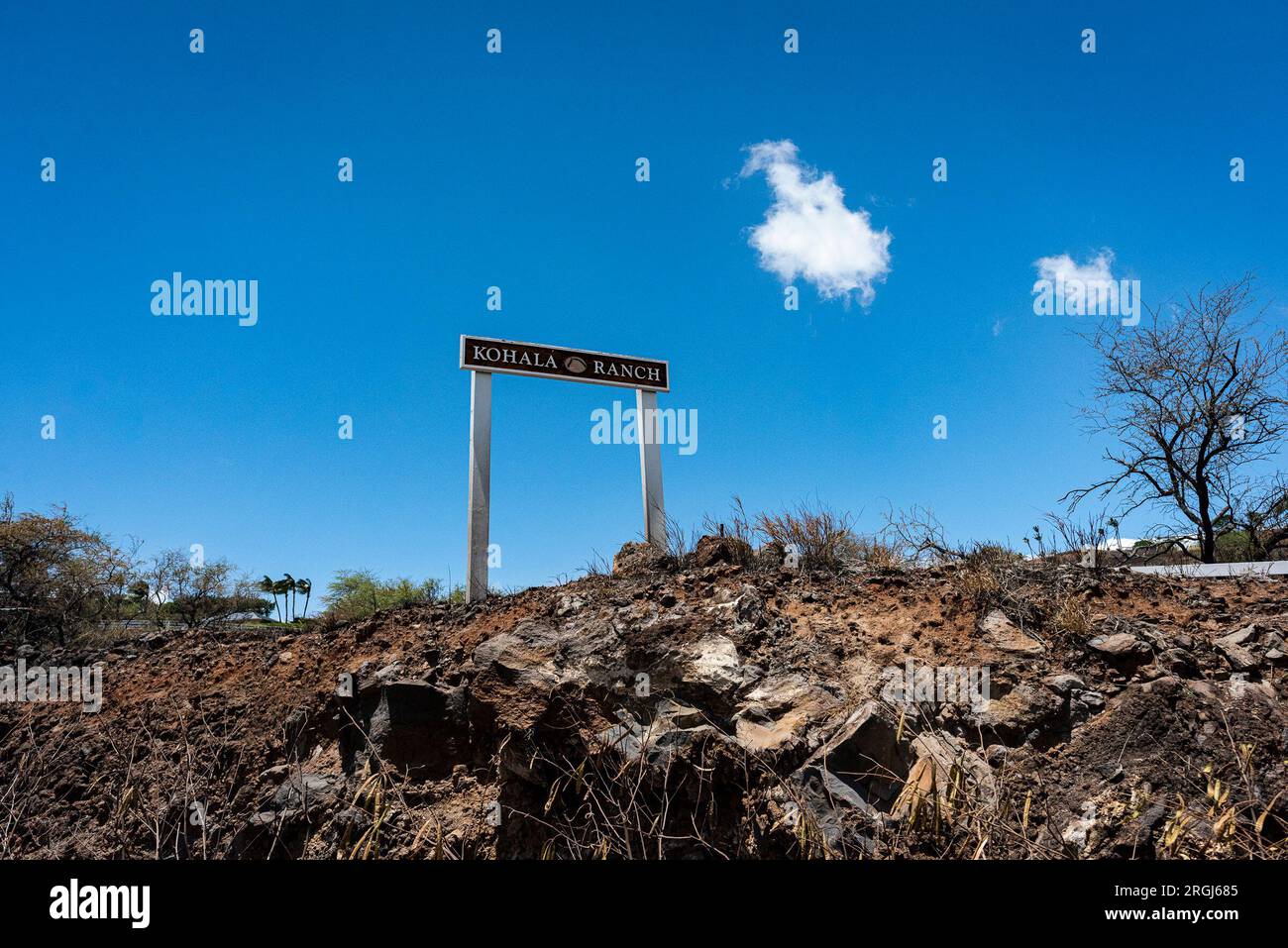 Hawi, HI, USA. 9. Aug. 2023. Der Brand in Akoni Pule im North Kohala District auf Hawai'i Island wurde am 9. August 2023 zu 60 Prozent eingedämmt. Die Wohngemeinde Kohala Ranch war gezwungen, die Gegend für etwa 24 Stunden zu evakuieren. Kredit: ZUMA Press, Inc./Alamy Live News Stockfoto