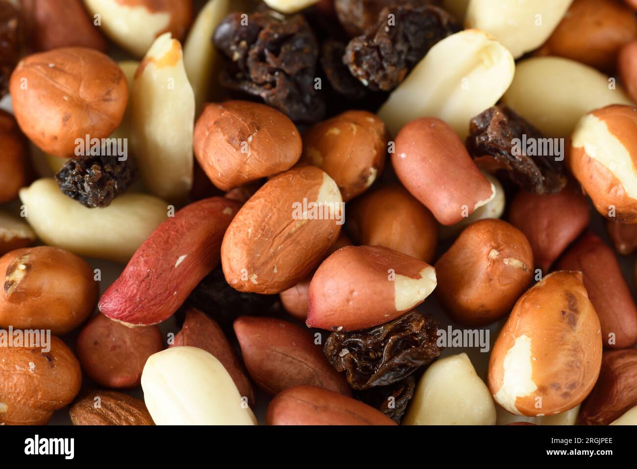 Frucht-Nuss-Mischung Stockfoto