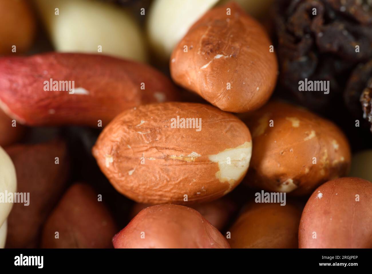Frucht-Nuss-Mischung Stockfoto