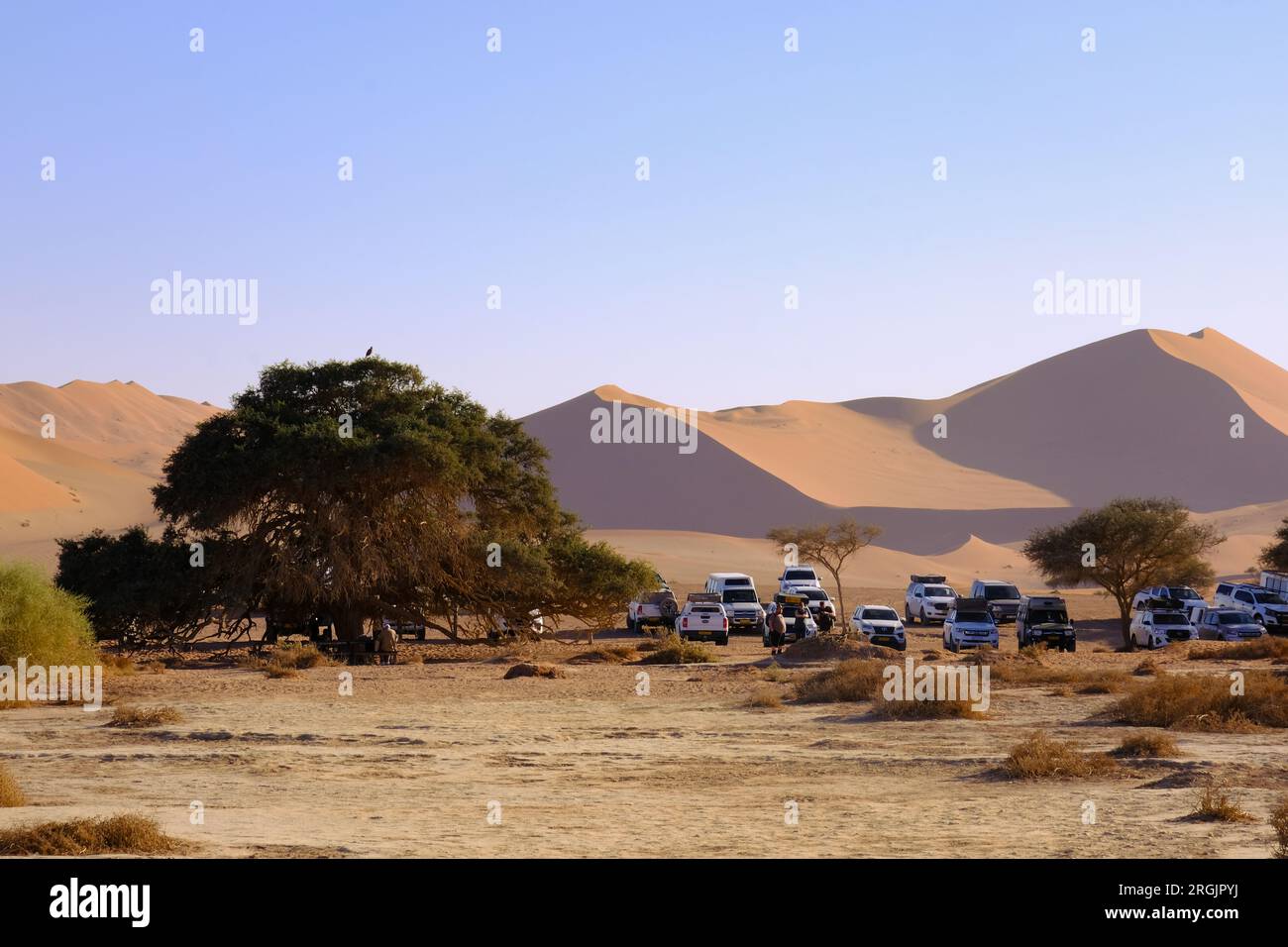 Geländewagen parken auf dem Parkplatz neben den Sossusvlei Namibia Stockfoto