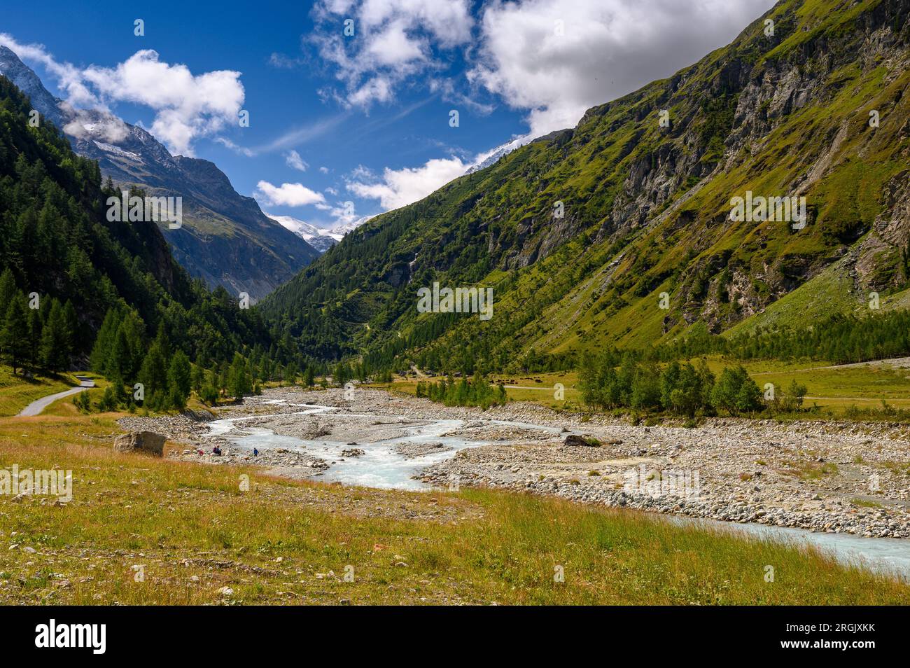 Wildes Flussbett der Navisence in Val d'Annivers, Valais Stockfoto