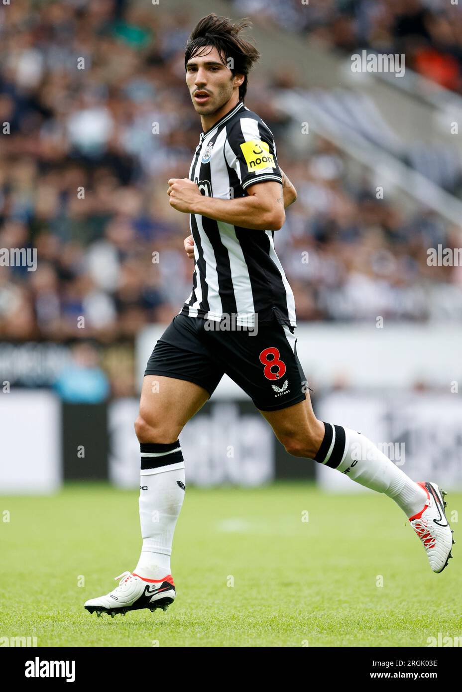 Sandro Tonali von Newcastle United während des Sela-Cup-Spiels in St. James' Park, Newcastle-upon-Tyne. Foto: Samstag, 5. August 2023. Stockfoto