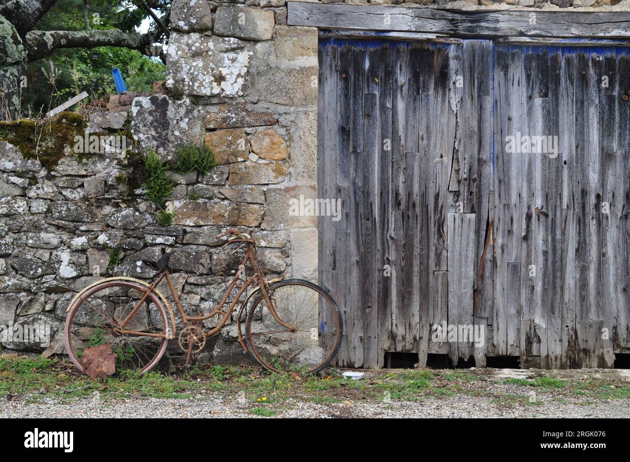 Ein altes und rostiges Fahrrad auf einer Farm in Frankreich. Stockfoto