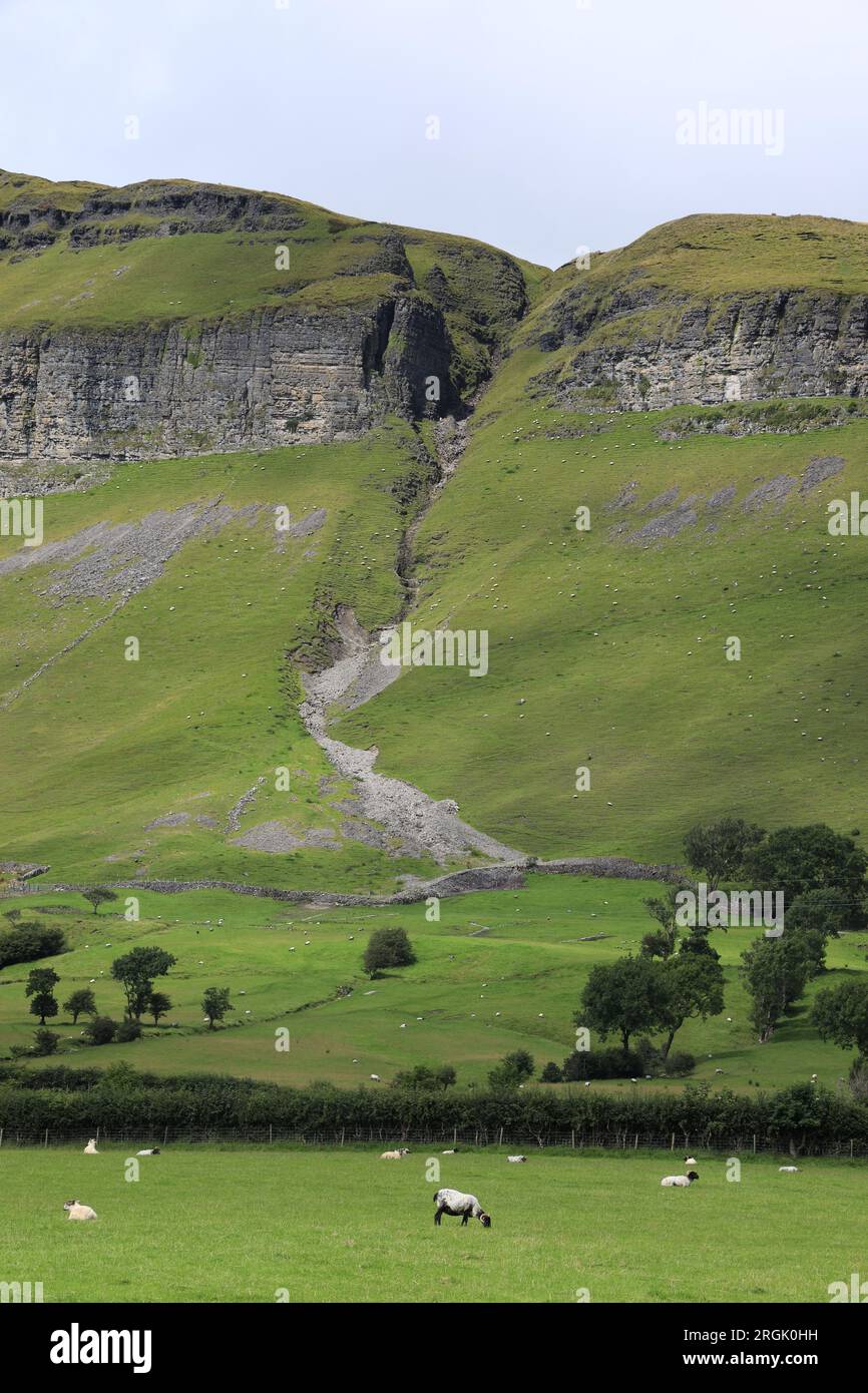 Schafe weiden auf grünen Feldern auf Ackerwiesen am Fuße des King's Mountain, County Sligo, Irland Stockfoto