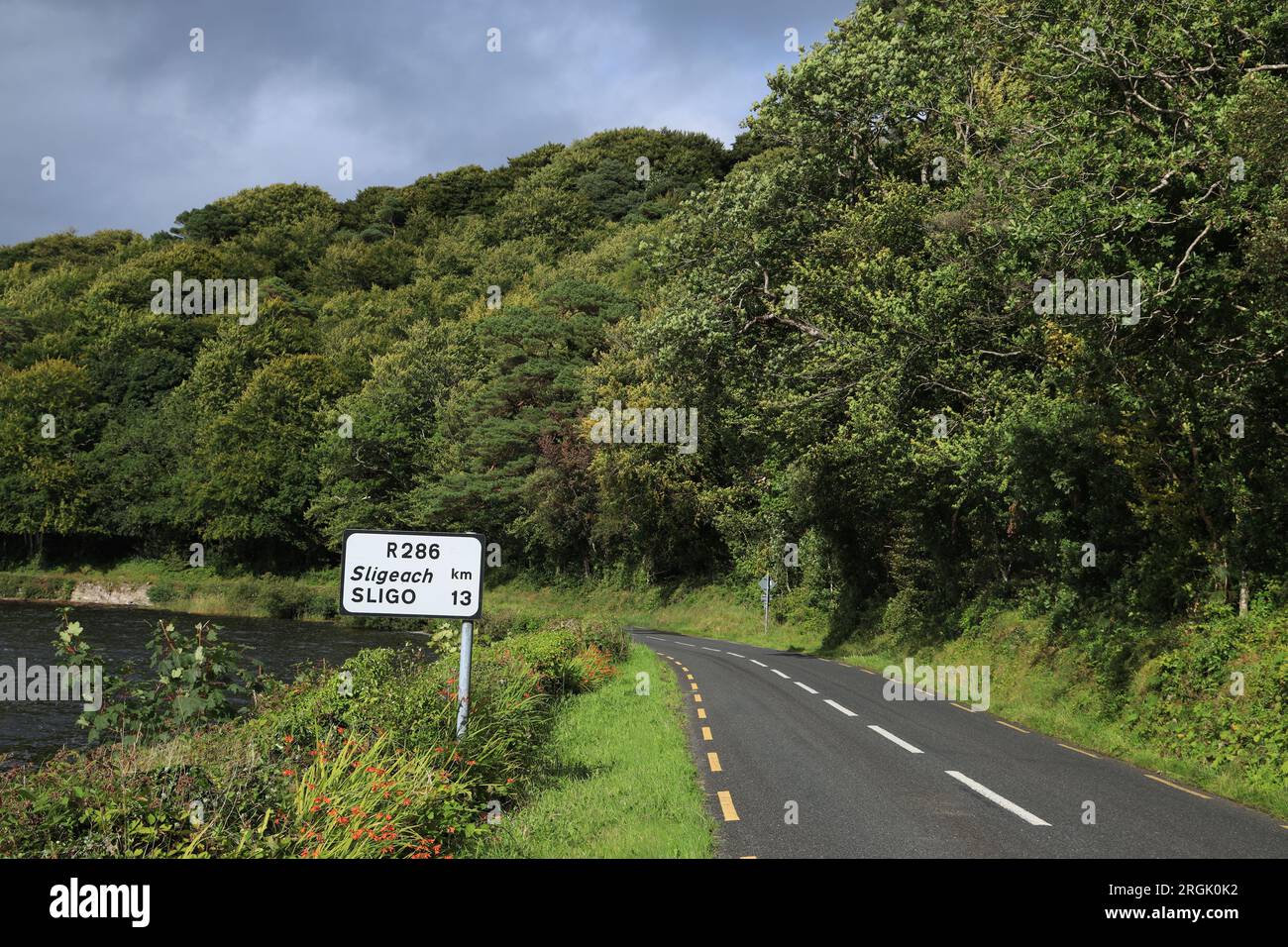 Landschaft mit einer Straße, die von einem See und Bäumen in Laub begrenzt wird, mit zweisprachigen Straßenschildern, die im ländlichen County Leitrim, Irland, zu sehen sind Stockfoto