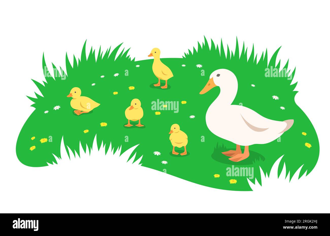 Ente mit einer Entenbrut, die auf einer grünen Wiese grast. Einfache flache Illustration Stock Vektor