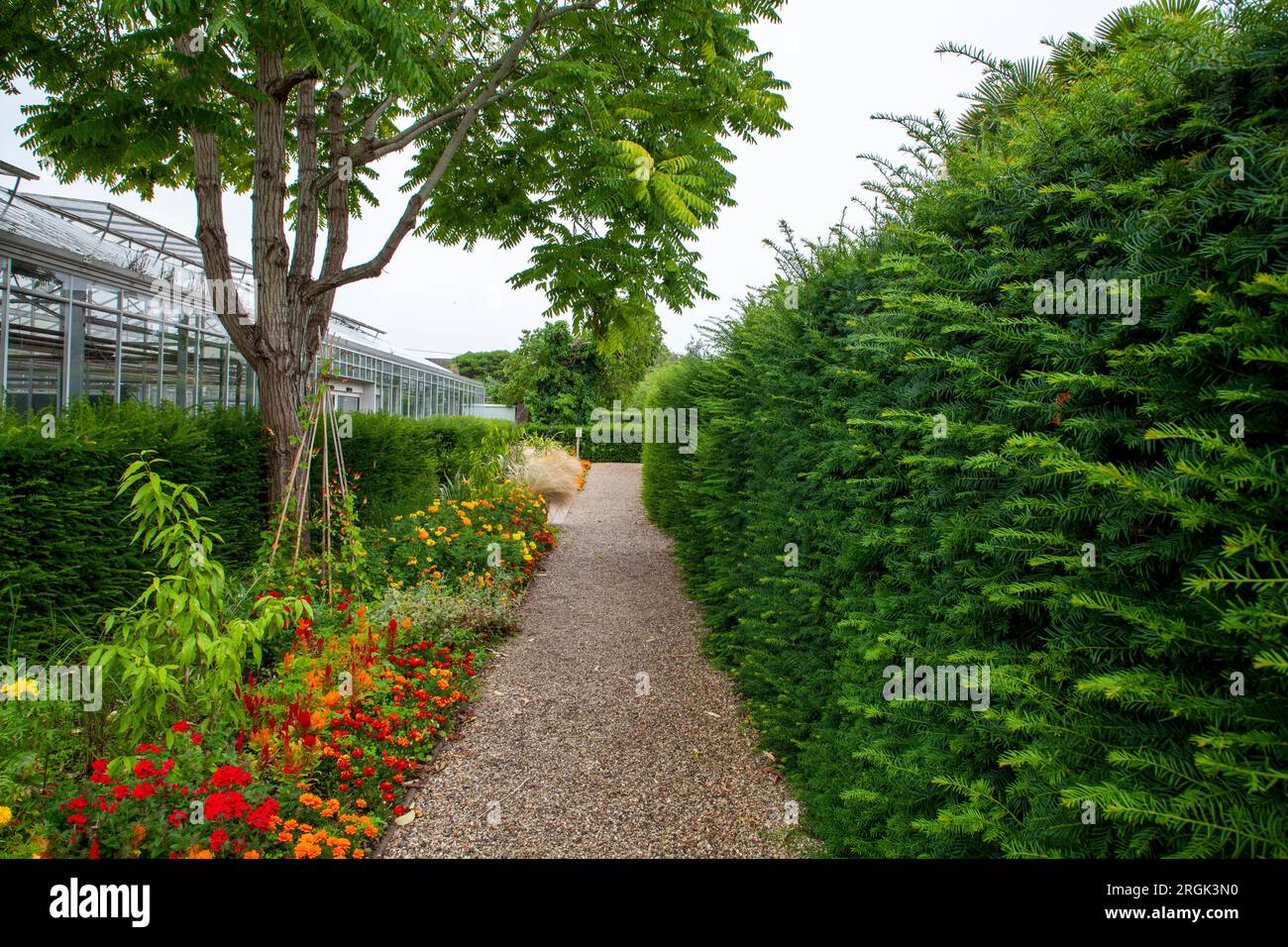 Der Ummauerte Garten Von Cannington Stockfoto