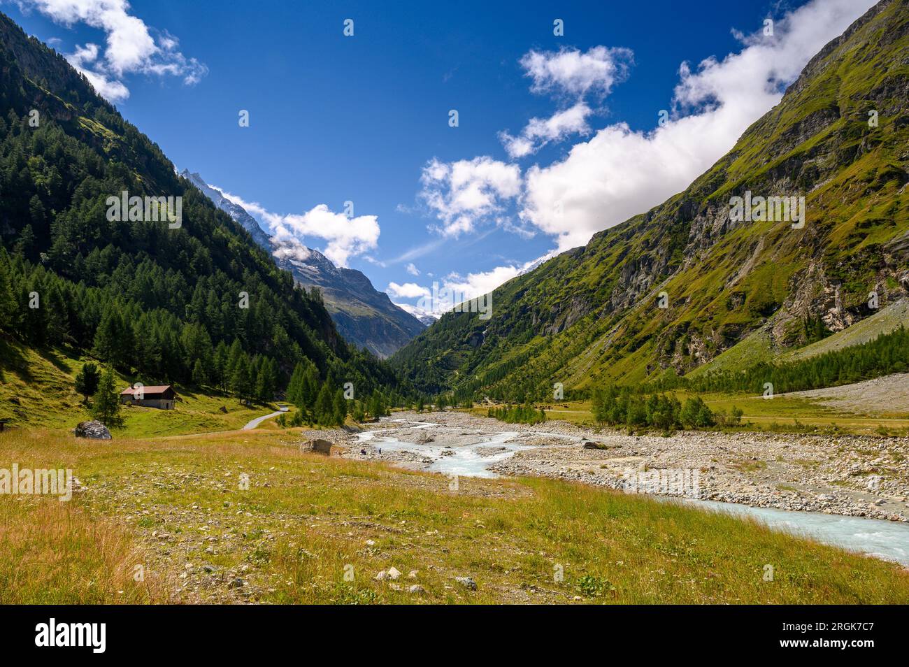 Wildes Flussbett der Navisence in Val d'Annivers, Valais Stockfoto