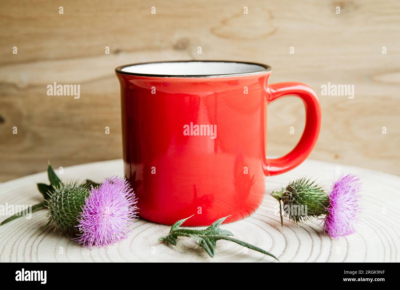 Onopordum Acanthium, Baumwolldistel, Scotch oder schottische Distelblüte mit Kräutertee. Hausküche im Haus. Pflanzliche Medizin. Stockfoto