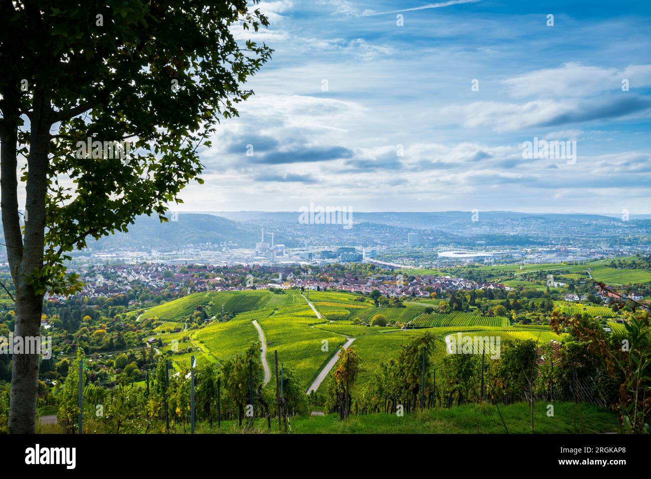Deutschland, Stuttgarter Stadt Urban Mood Weinberg Panorama Blick Herbstlandschaft über Dächern beherbergt Stadionindustrie Stockfoto