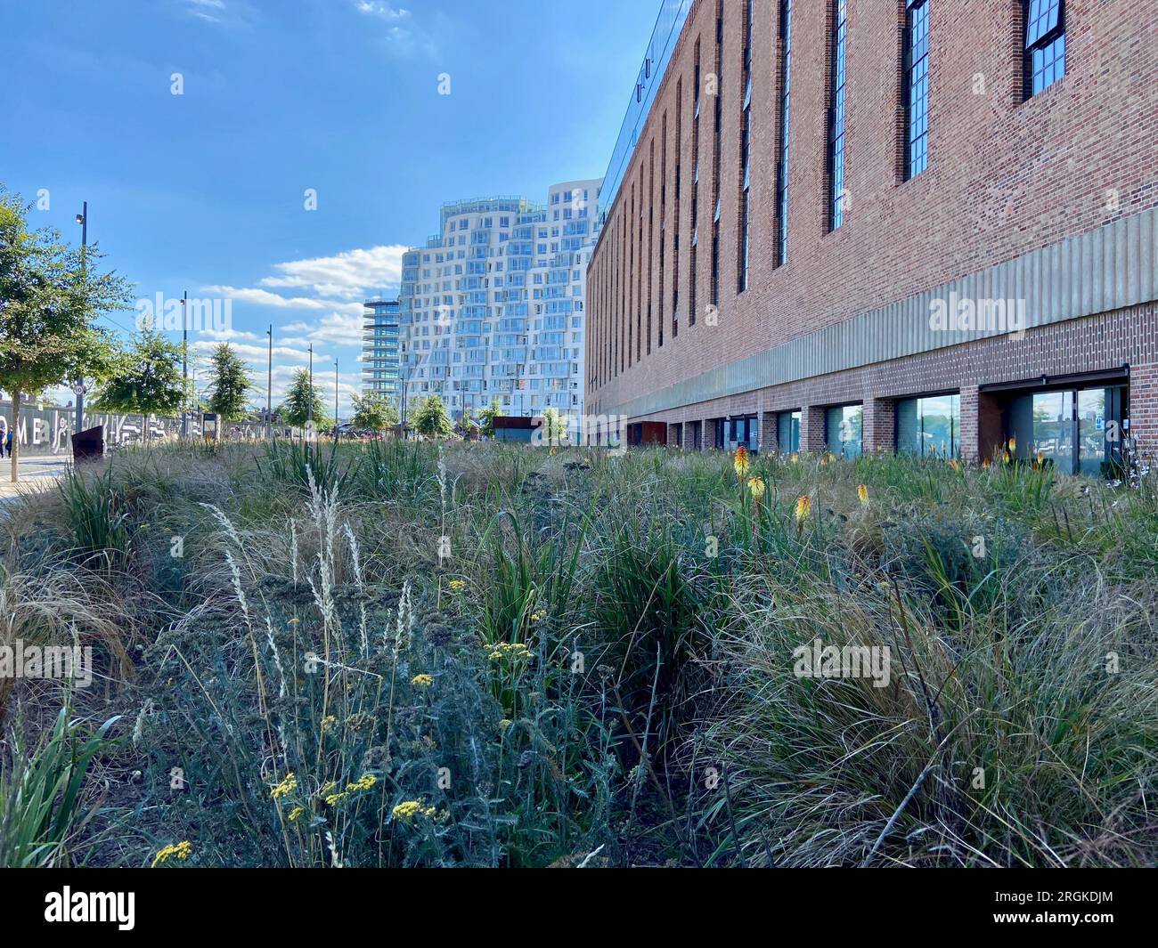 Außenansicht des Kraftwerks battersea mit neu gebauten, teuren Wohnungen und Pflanzbeeten südlich von london, england, großbritannien Stockfoto