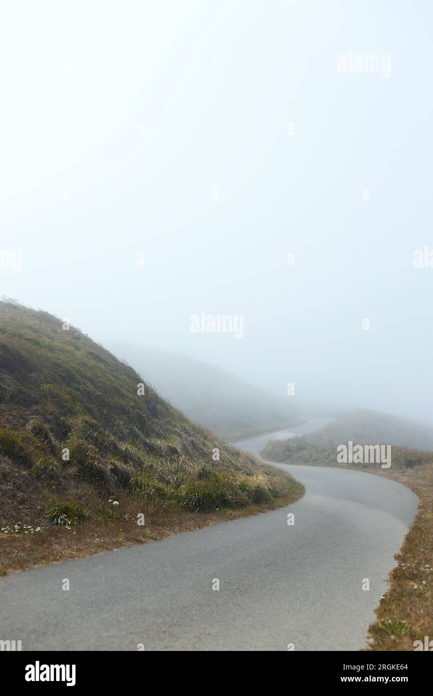 Ein kurviger Pfad im Nebel mit Wildblumen bedeckten Hügeln und Wiesen auf beiden Seiten, mit Kopierraum am Himmel. Stockfoto