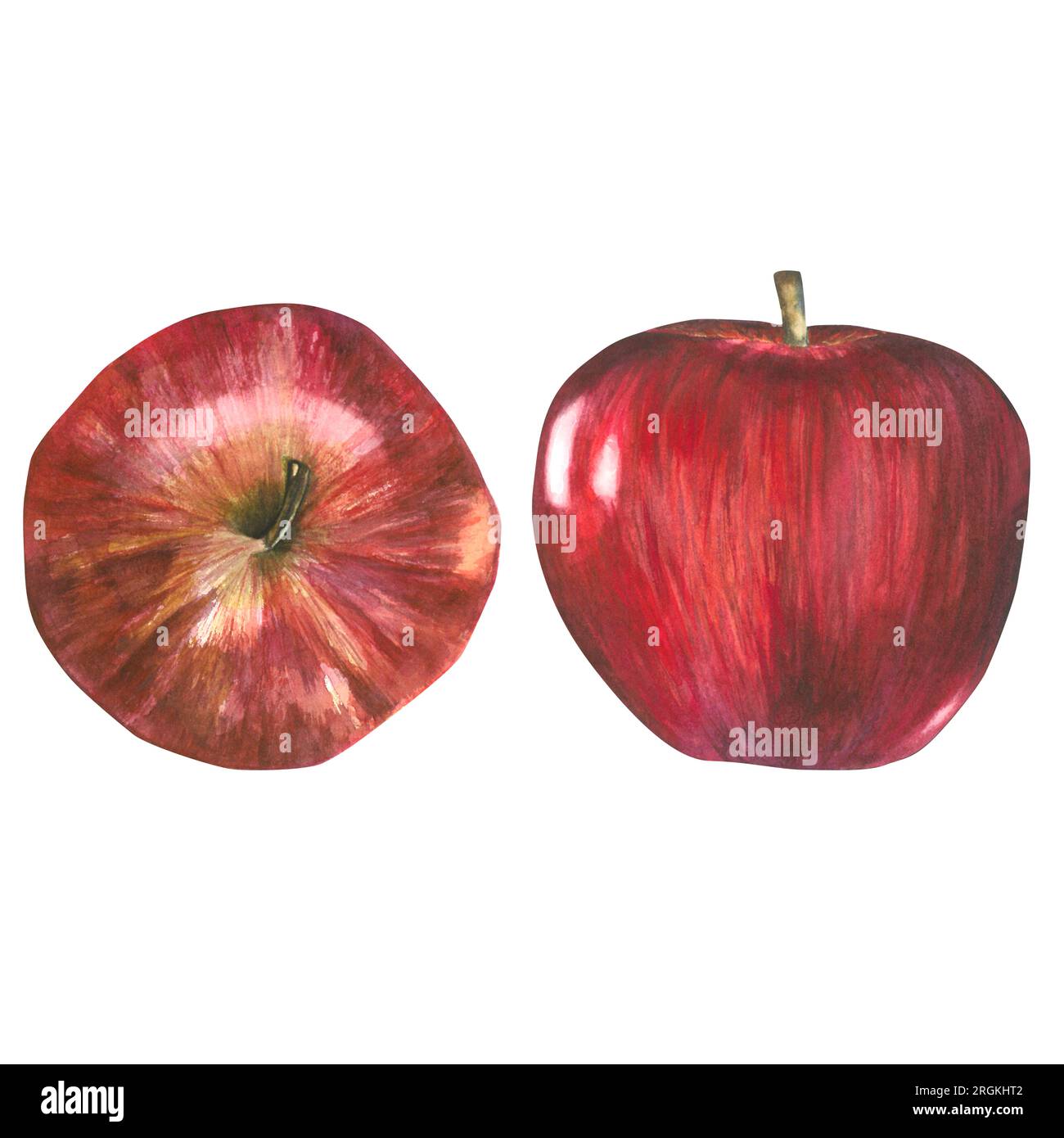 Aquarell Darstellung eines roten Apfels von der Seite und top.Composition ist von Hand auf weißem Hintergrund isoliert. Für den koreanischen Chuseok Urlaub Stockfoto