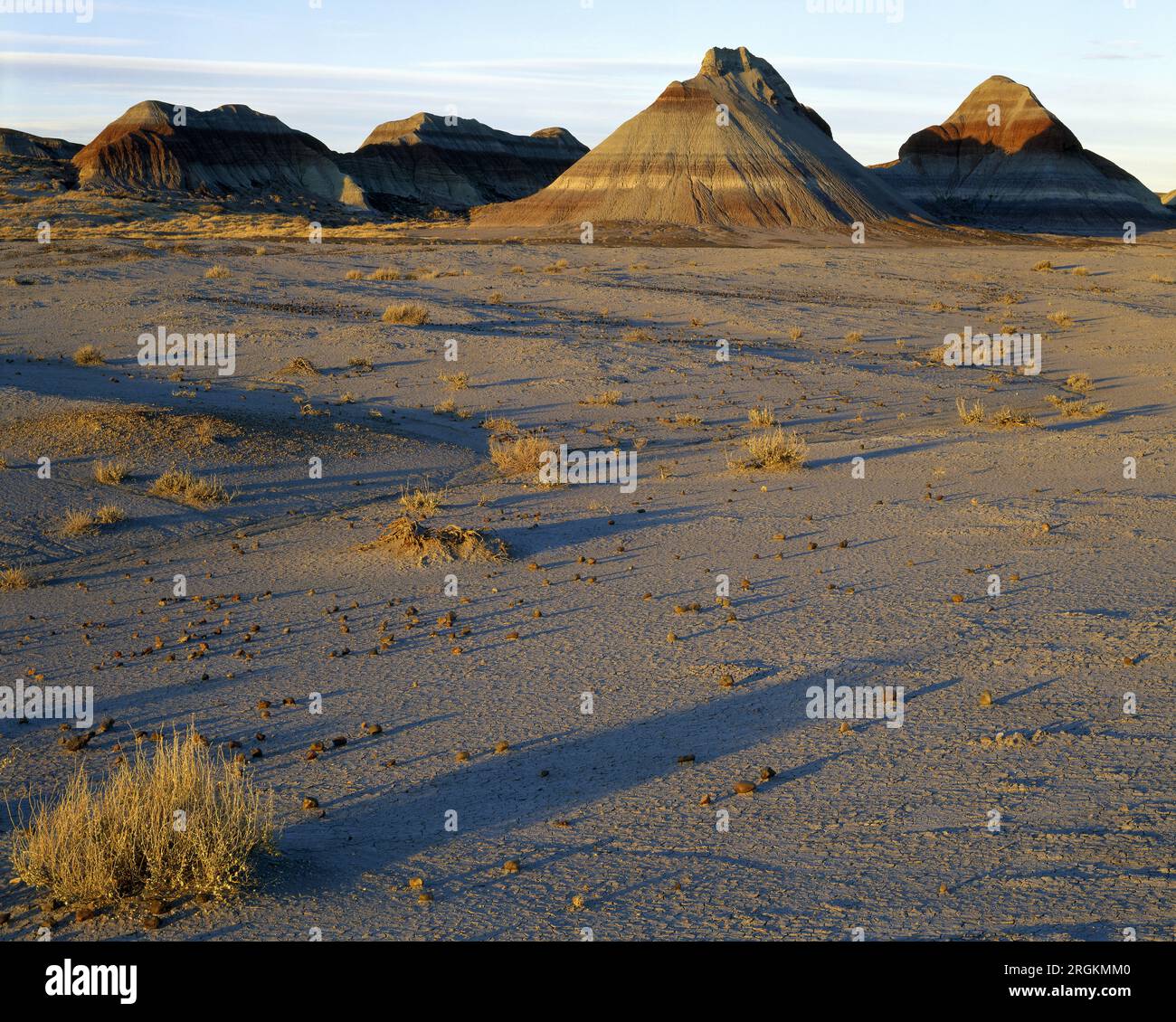 Versteinerter Wald-Nationalpark, Arizona Stockfoto