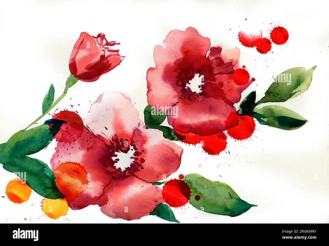 Blühende rote Blumen. Handgezeichnetes Aquarellgemälde Stockfoto