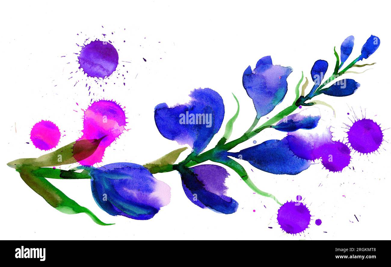 Lila Wildblumen. Handgezeichnetes Aquarellgemälde Stockfoto