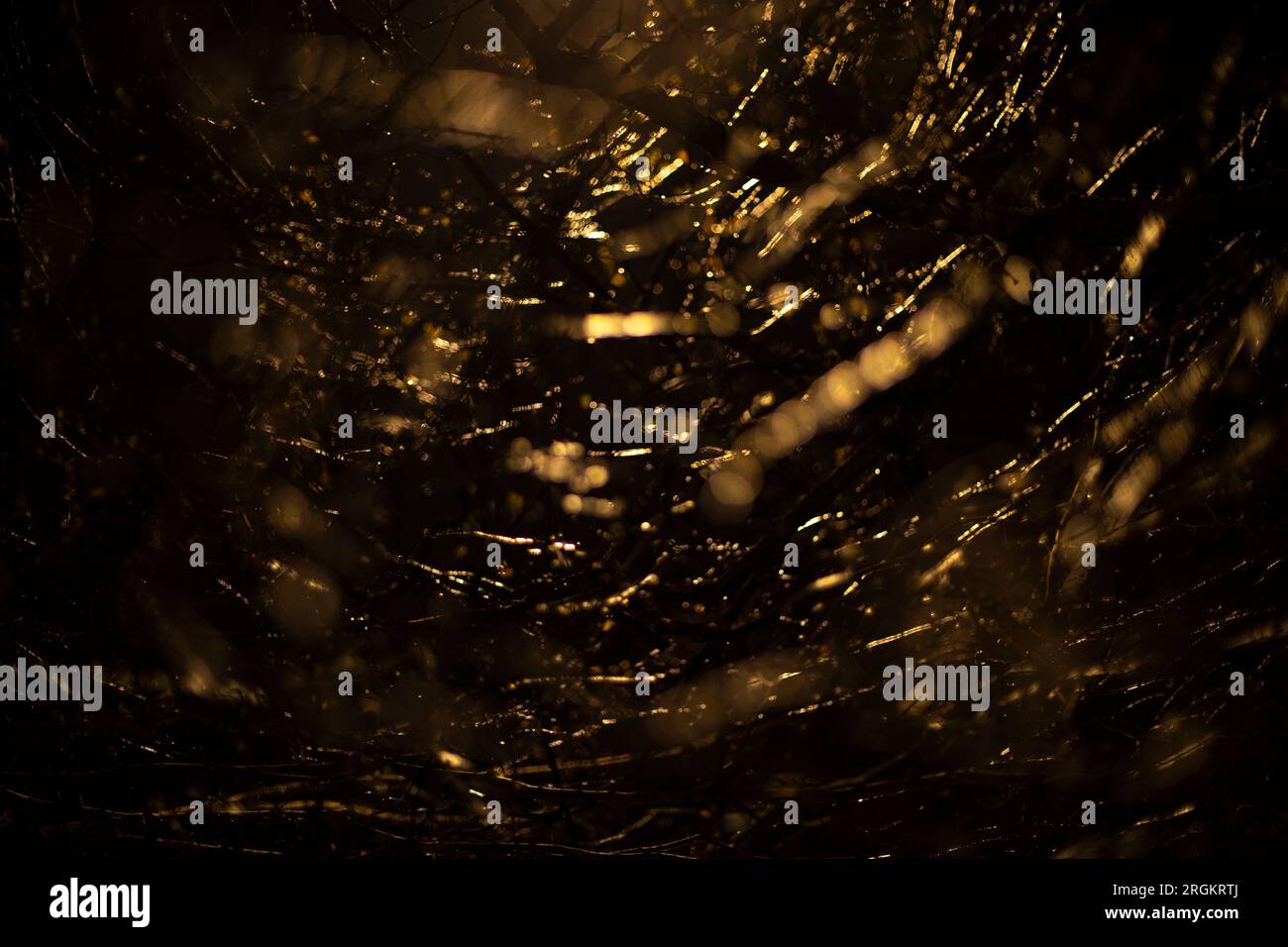 Abstraktes Hintergrundeis auf Zweigen im Dunkeln. Strukturiertes Gold aus Licht. Details der Eispflanze. Kleine Linien. Stockfoto